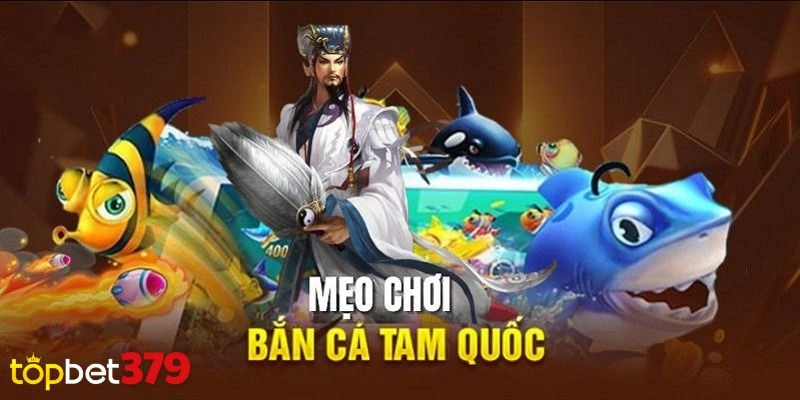 Chiến lược câu cá và những mẹo hiệu quả để tăng điểm