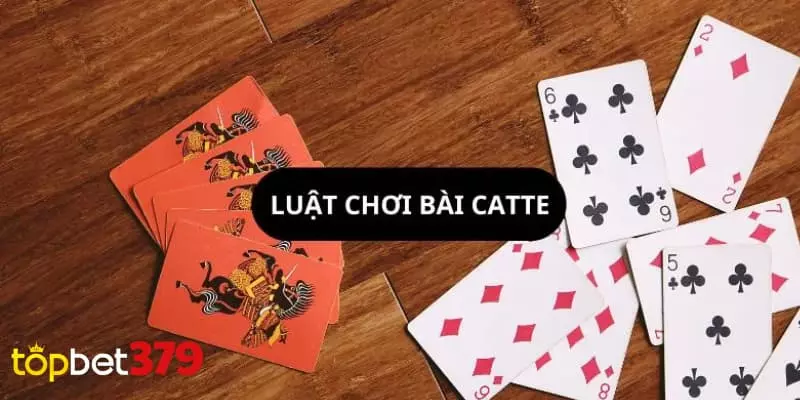 Bài catte