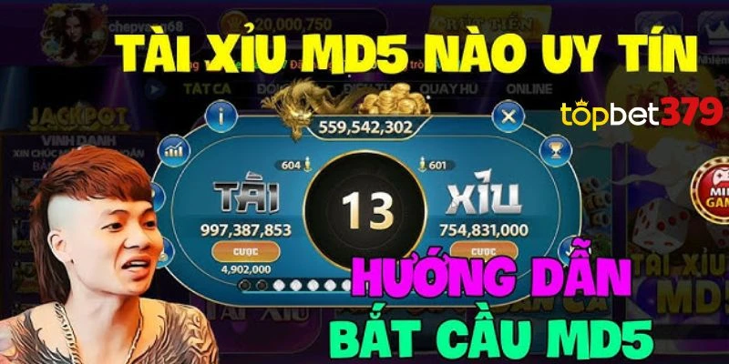 Giới thiệu tổng quan về game tài xỉu MD5